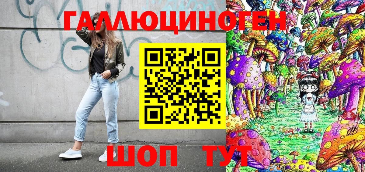 Альметьевск  Галлюциногенные грибы Cubensis  закладка  Вход с VPN 